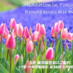 2024年5月 リモート&東京瞑想会