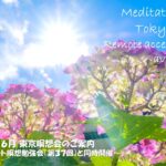 2024年6月 リモート&東京瞑想会
